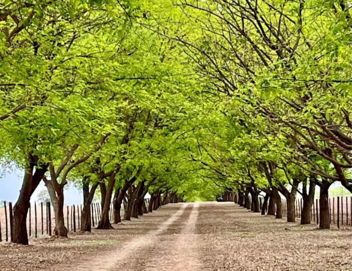 ¡PROPIEDAD SOÑADA EN VENTA - CHICOANA! 