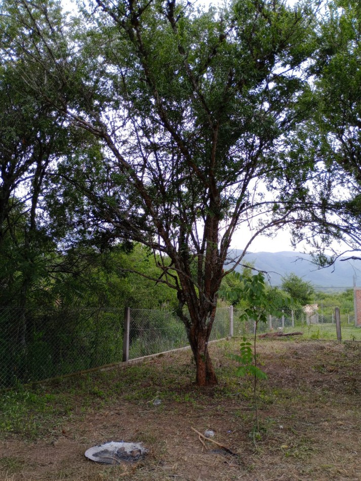 Terreno en Venta - El Durazno, La Caldera