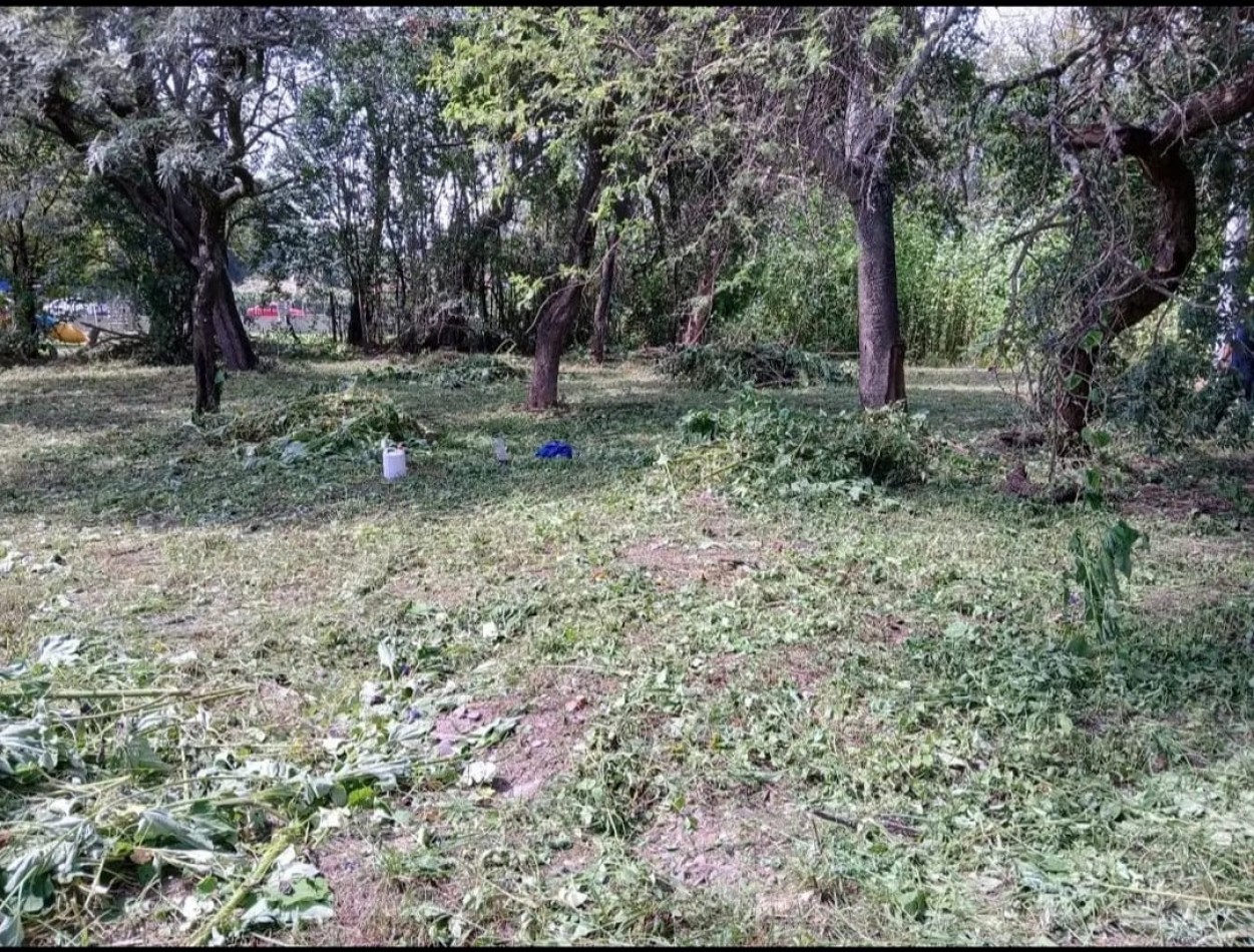 TERRENO EN VENTA - RUTA 51, SAN LUIS