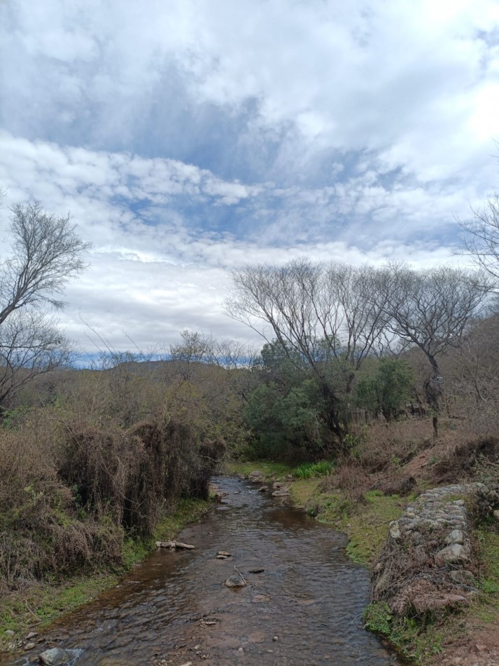 EN VENTA TRES HECTAREAS