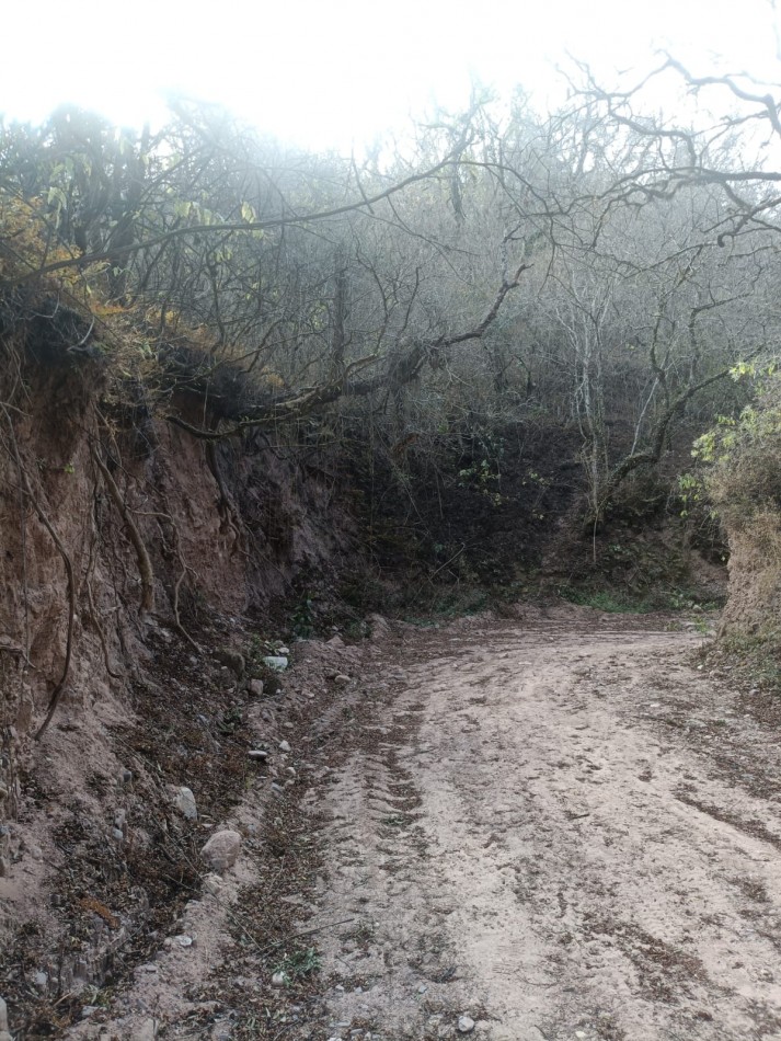 EN VENTA TRES HECTAREAS