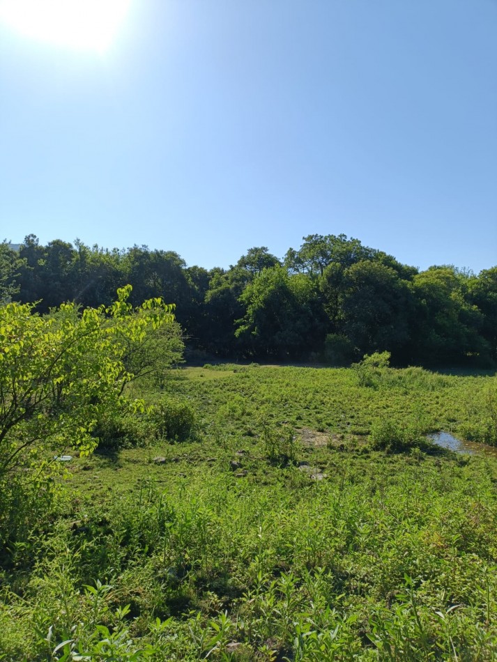 TERRENO EN VENTA 2.441m²